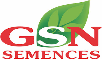 لوگو شرکت GSN Semences فرانسه، تولیدکننده و اصلاح‌کننده بذرهای سبزیجات و ارقام هیبرید کشاورزی
