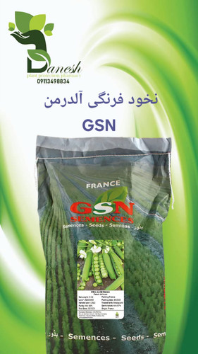 بذر نخود فرنگی آلدرمن GSN