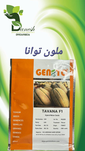 بذر ملون توانا F1 جنتو