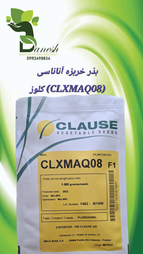 بذر ملون آناناس CLX MAQ08 F1 کلوز | میانرس و پربازده