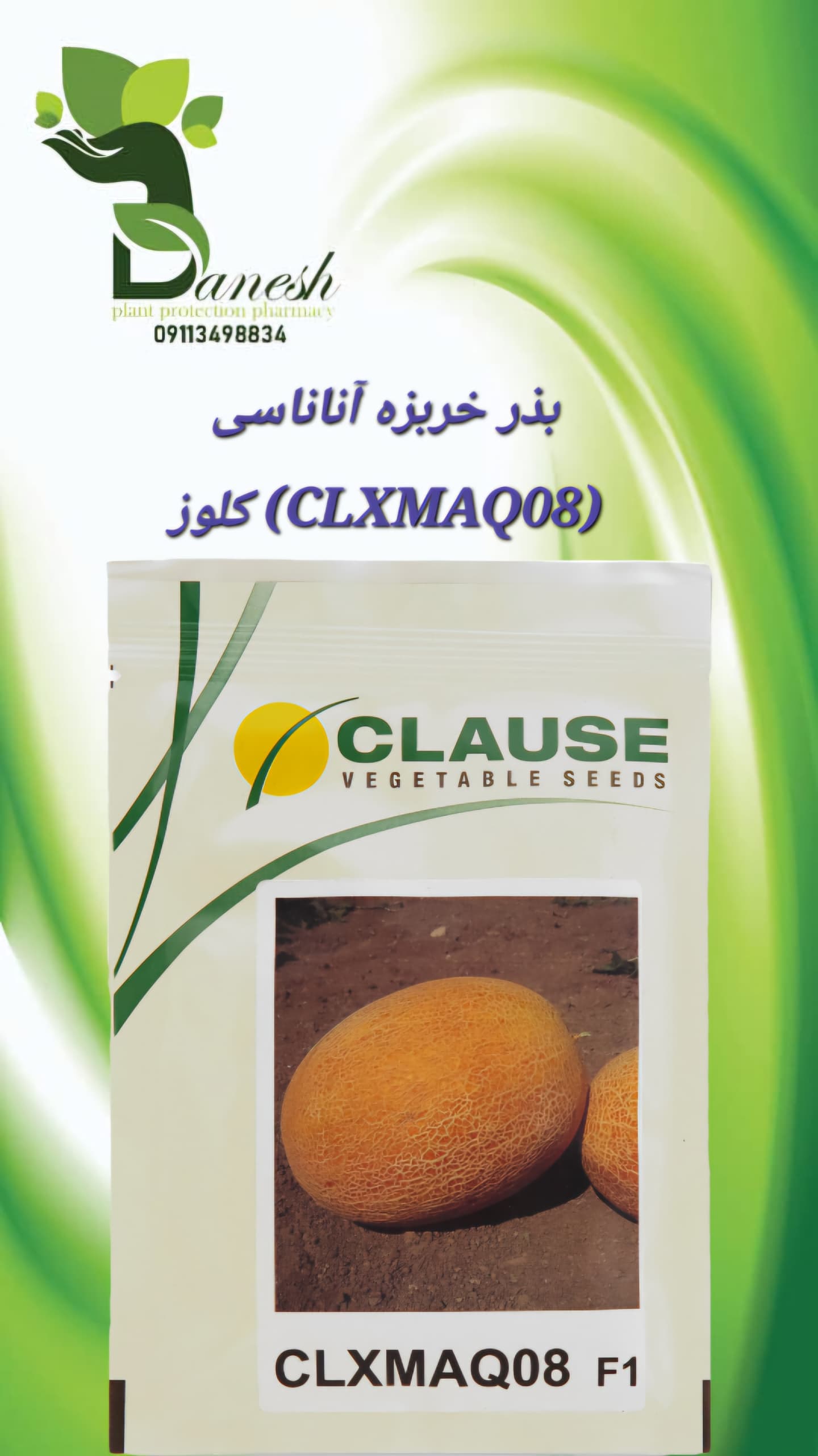 بذر ملون آناناس CLX MAQ08 F1 کلوز | میان‌رس و پربازده