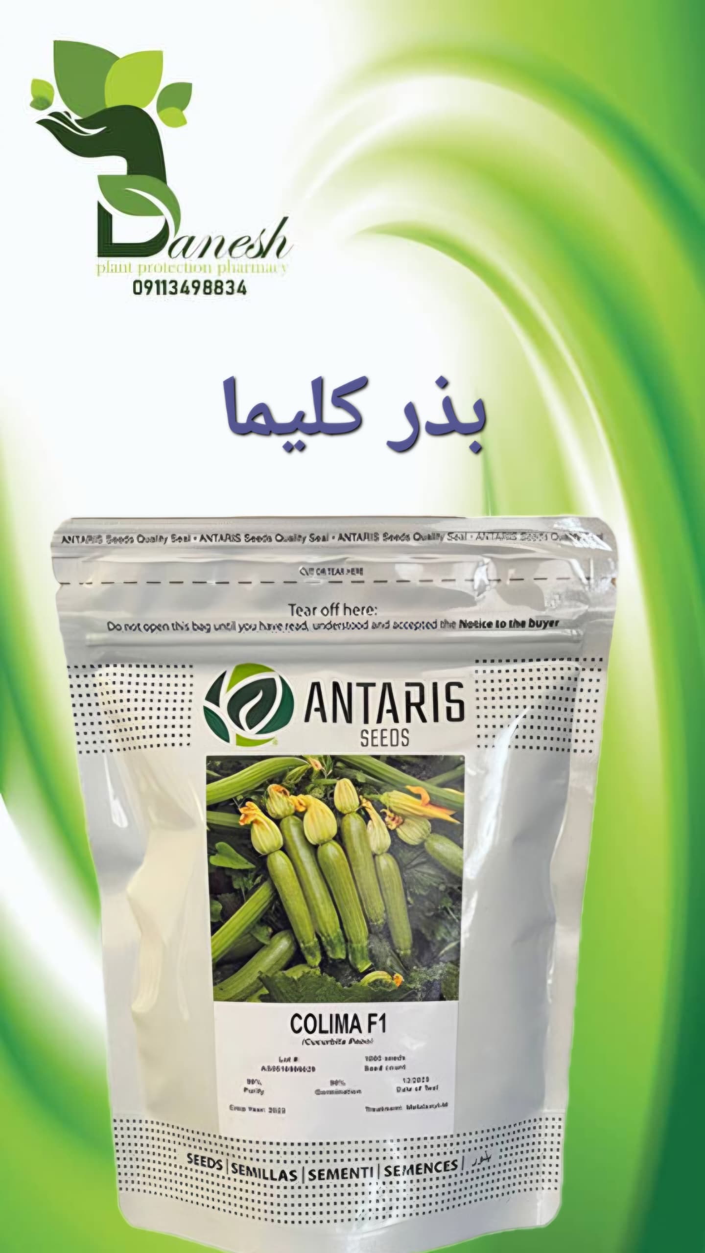 بذر کدو خورشتی هیبرید کلیما COLIMA آنتاریس