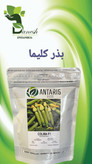 بذر کدو خورشتی هیبرید کلیما COLIMA آنتاریس