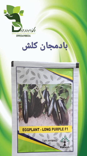 بذر بادمجان قلمی لانگ پرپل F1 کلش سیدز هند | LONG PURPLE