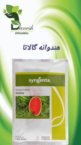 بذر هندوانه گالاتا F1 سینجنتا