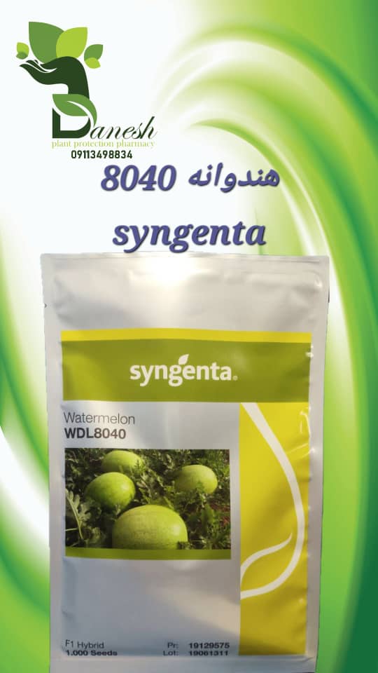 بذر هندوانه سفید ۸۰۴۰ F1 سینجنتا